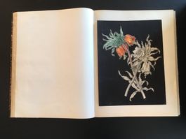 Grosse Mappe mit Zeichnungen von u.a. Pflanzen, alt