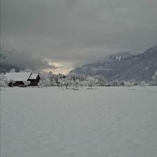 Profile image of ladiba