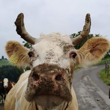 Profile image of yvneu92