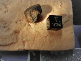 4,23 g  Chondrit H 5  Meteorit  GAO