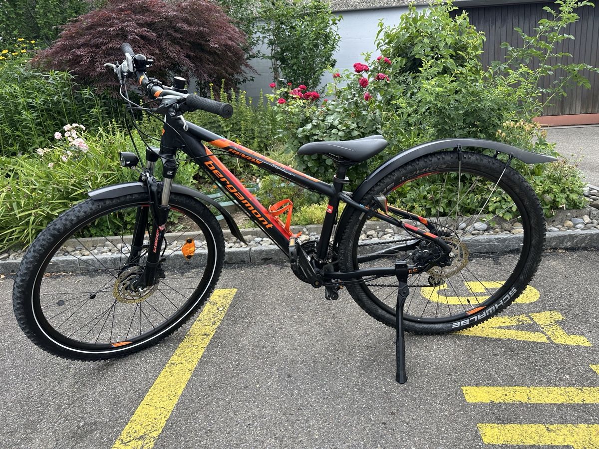 Bergamont Biciclette: Mountainbike Bergamont – Usato da Steinhausen venduto da DANI_888 1