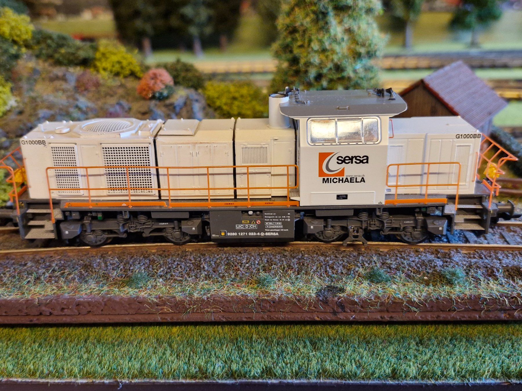 Esu Modellini di ferrovie: Sersa G1000BB der Fa.ESU – Usato da Stans venduto da marlene330 3