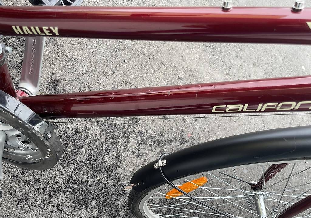 Biciclette: VELO CALIFORNIA – Usato da Wil SG venduto da d.d.d 4