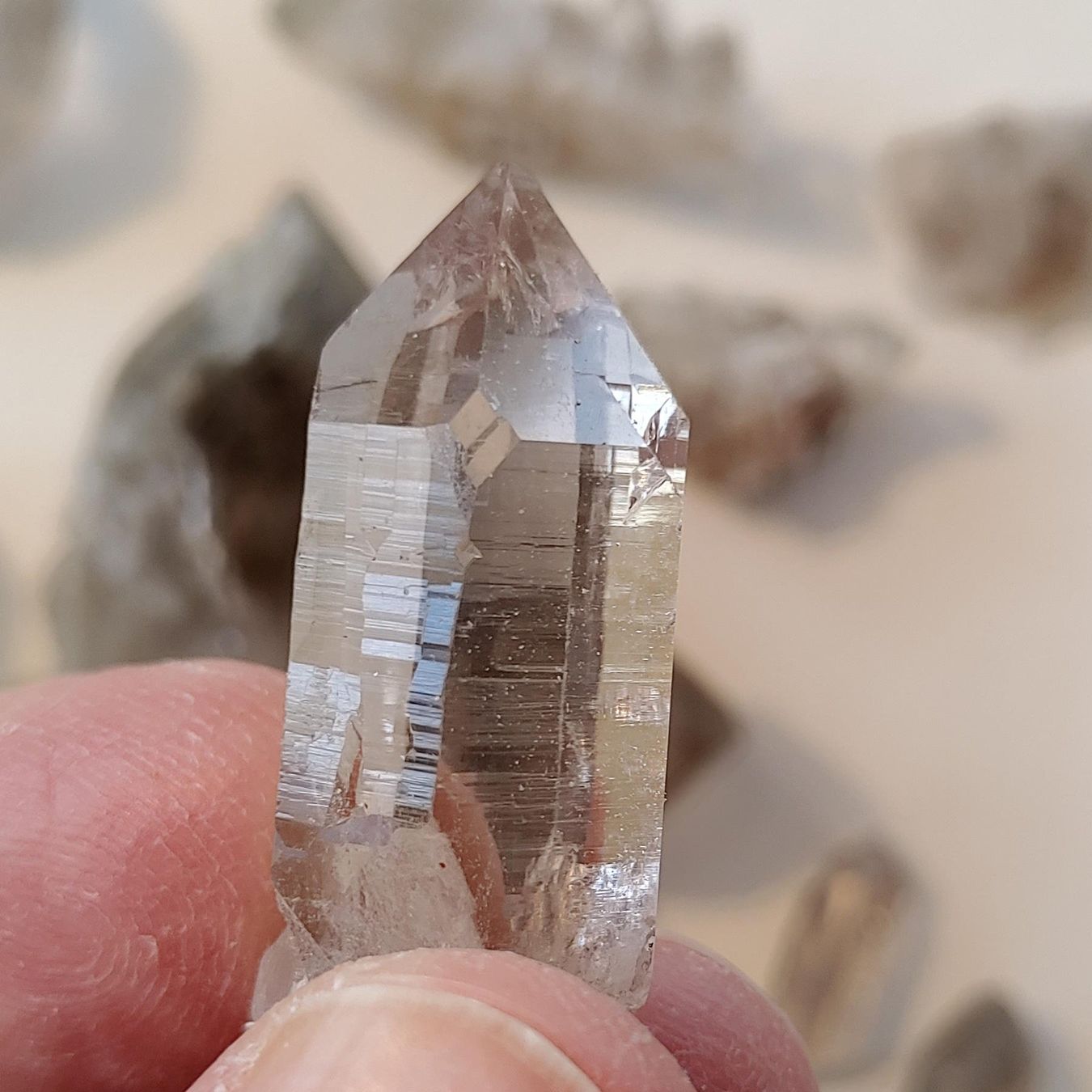 Minerali & Pietre curative: Lot Quarz, Uri, teils mit Phantom u. Skelett – Nuovo e nell'imballaggio originale da Steinhausen venduto da Kristall022 7