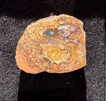 Boulder Opal Stein, Vogel überm See, sehr selten, Anhänger
