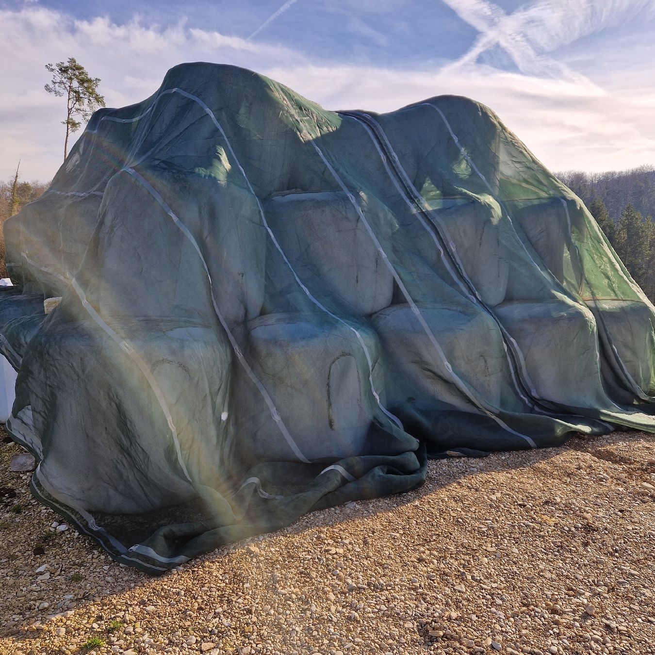 Mangimi: Siloballen /  Silage – Nuovo e nell'imballaggio originale da Büren SO venduto da baschi87 2