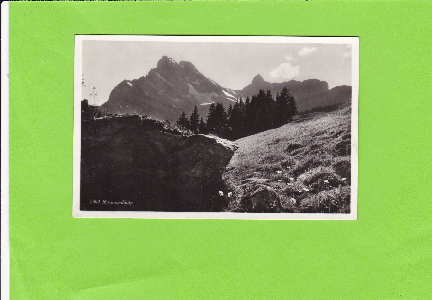 Cartes postales: Braunwaldalp – D'occasion à St. Peterzell par neckertal