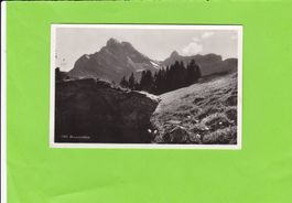 Braunwaldalp