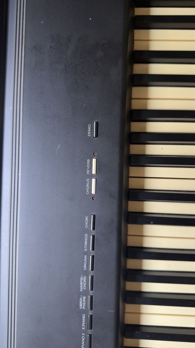 Roland Instruments de musique: Roland ep-9e Digital Piano – D'occasion à St Gallen par Alii 3