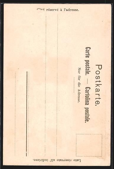 Cartoline postali: Lithographie Baden, Landvogteischloss – Usato da Berlin venduto da bartko-reher 1