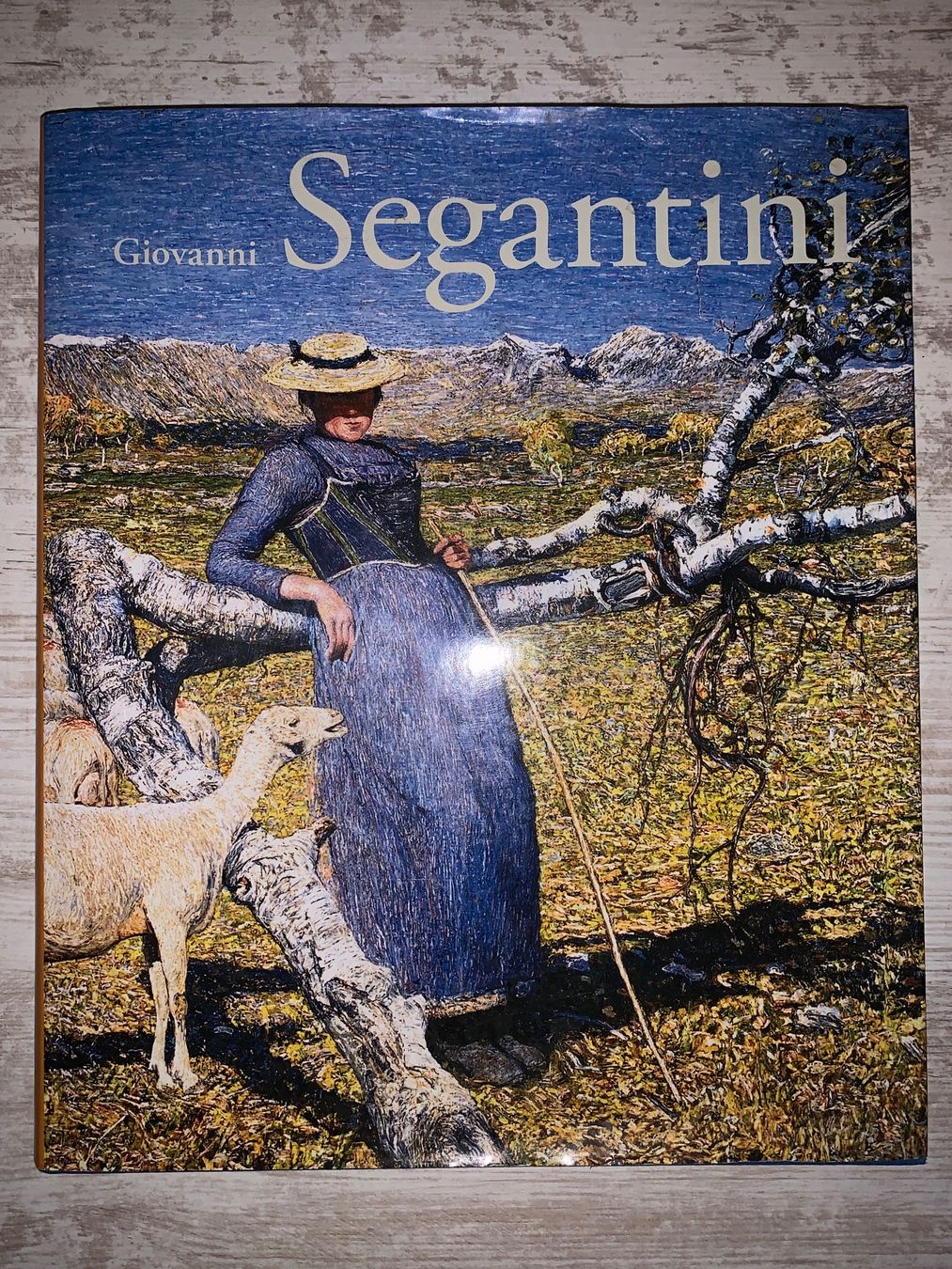 Libri: Buch Giovanni Segantini / Scheidegger & Spiess / B. Stutzer – Usato da Belp venduto da aprico