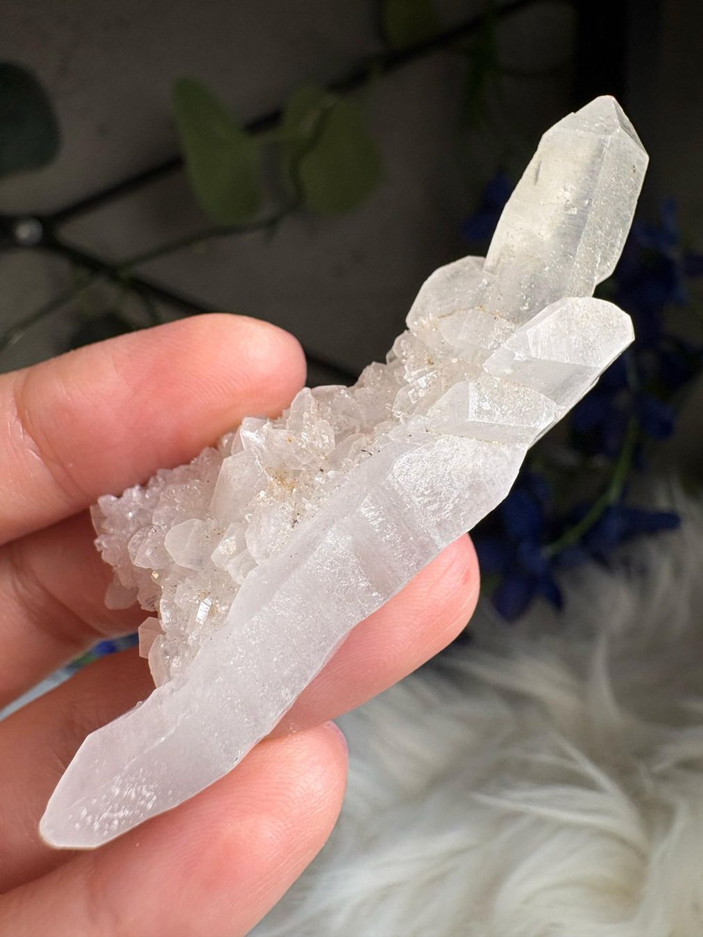 Minerali & Pietre curative: Kolumbianischer Lemurian-Quarz-Cluster – Nuovo (secondo la descrizione) da Neuheim venduto da m.hald 4