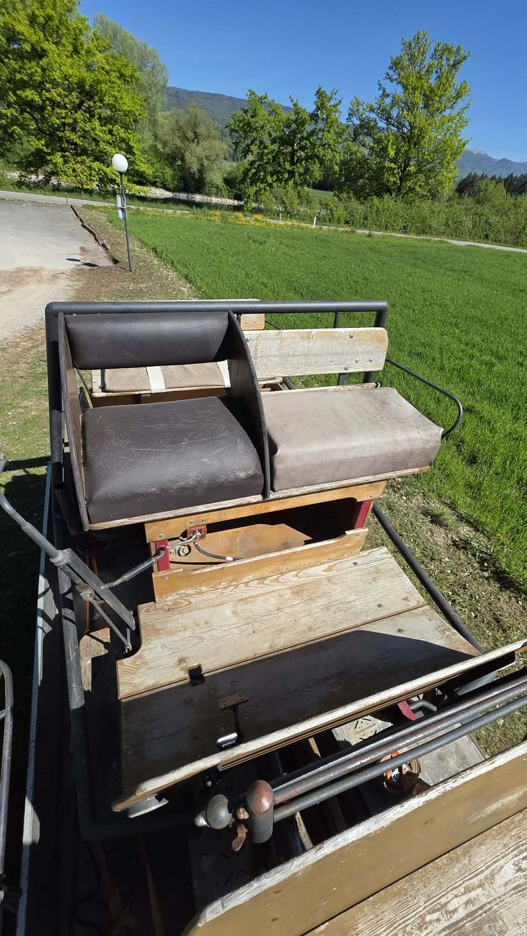 Carrozze: kutsche  – Usato da Worben venduto da Andrea0145 2