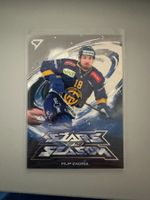 Sportzoo HCD Filip Zadina Stars of the Season
