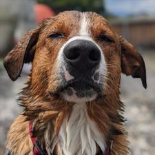 Profile image of DomagojB