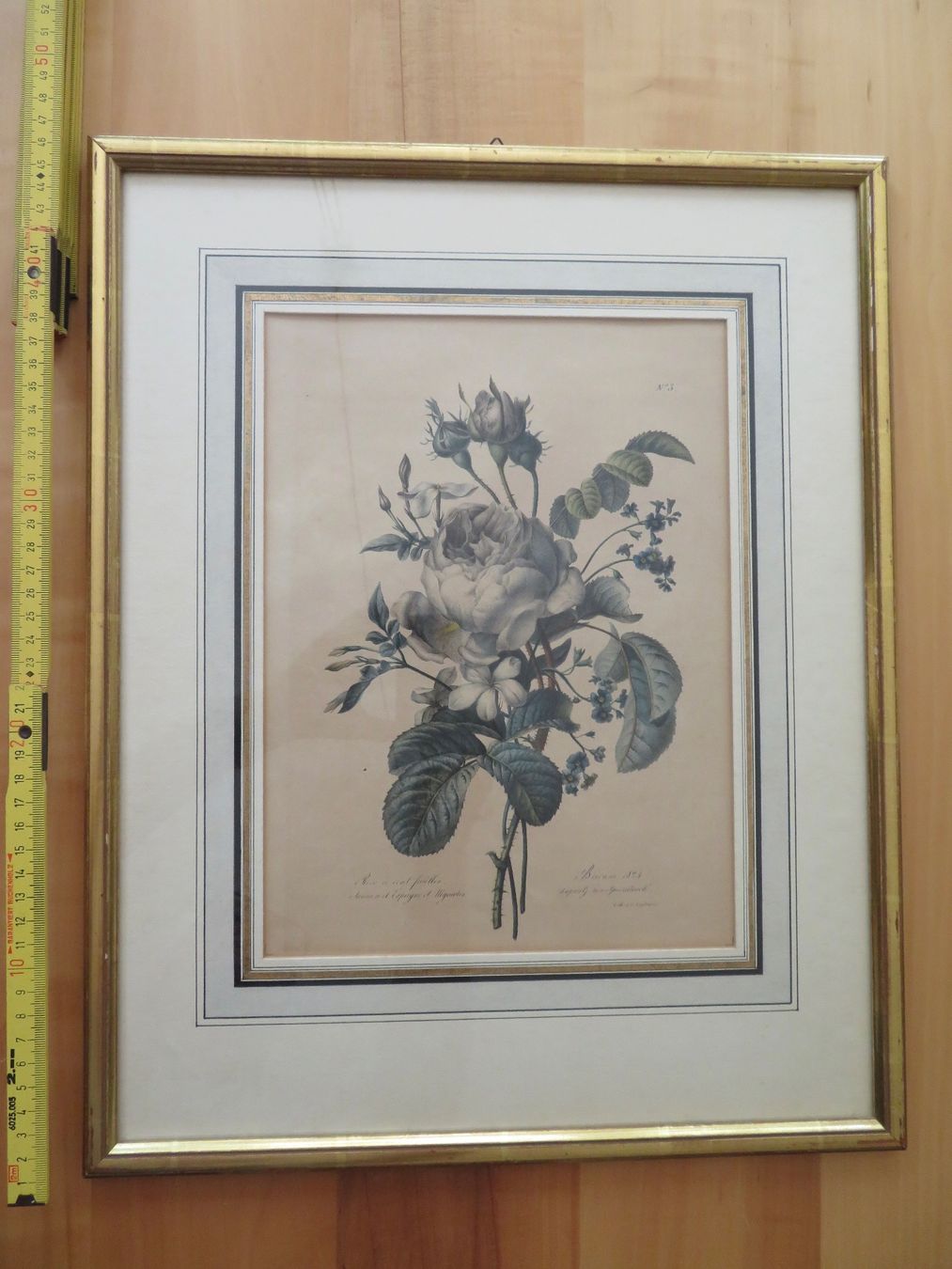 Grafiken & Lithographien: Hundertblättrige Rose – Gebraucht aus Bern von mordswein