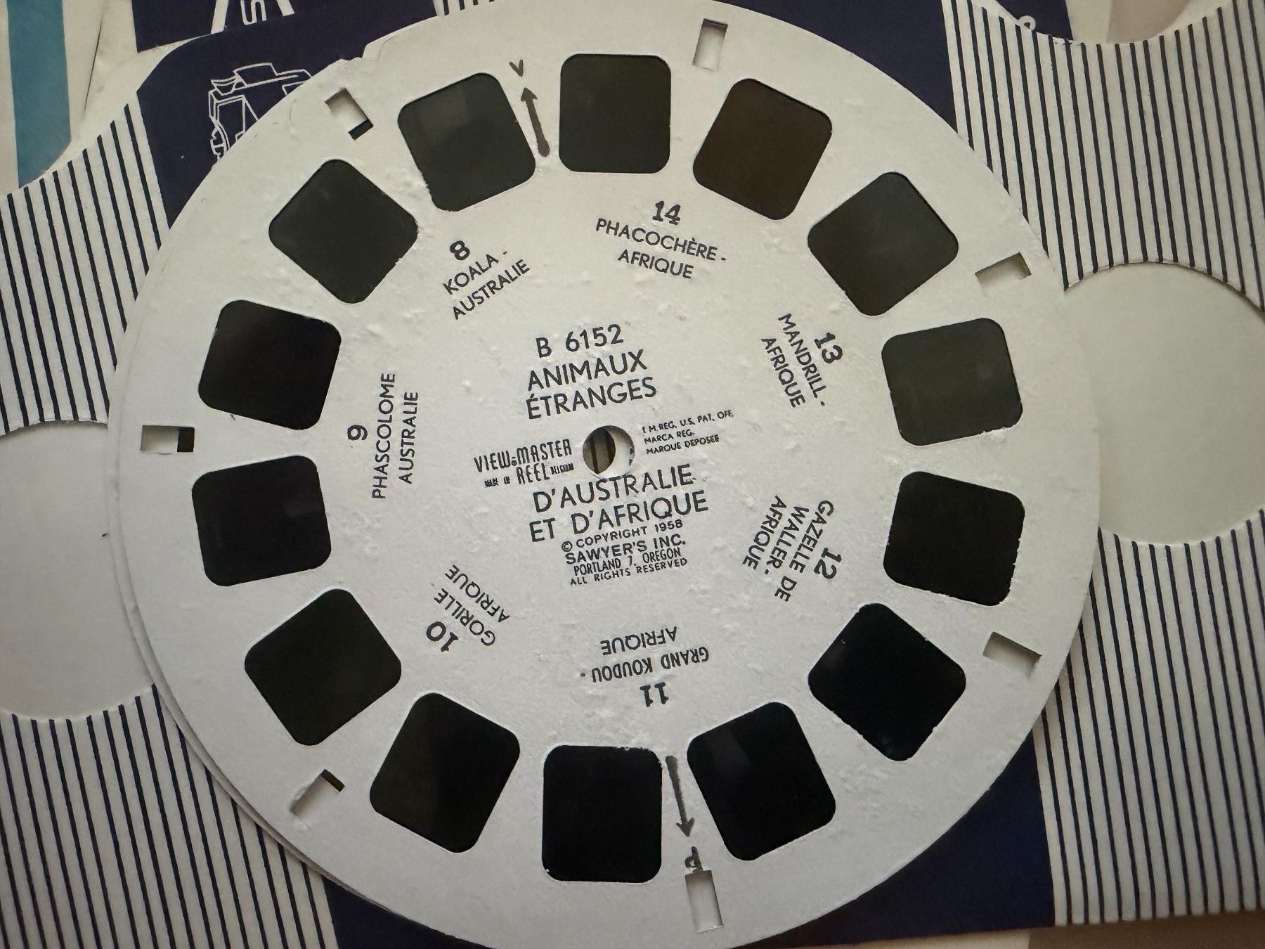 View-master Giocattoli: View-Master 3D: Nr. B 615 ANIMAUX ETRANGES de la Terre – Usato da Tegerfelden venduto da siebenmacky 5