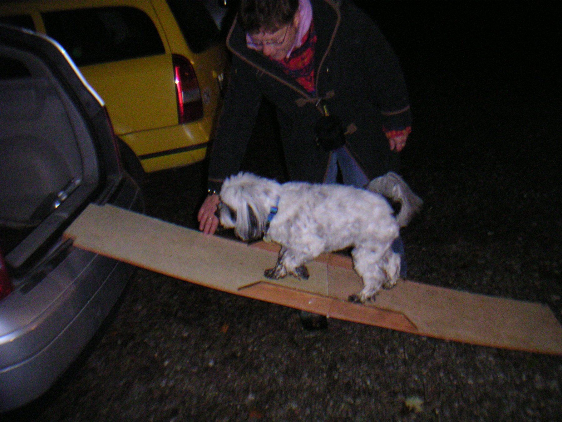 Käfige, Transport & Sicherheit: Hunde - Rampe – Gebraucht aus Bachenbülach von pwider 5