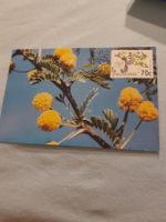 Carte postale botanique rare - Bophuthatswana 1992!