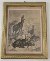 Tableau avec chamois signé Frédéric Specht