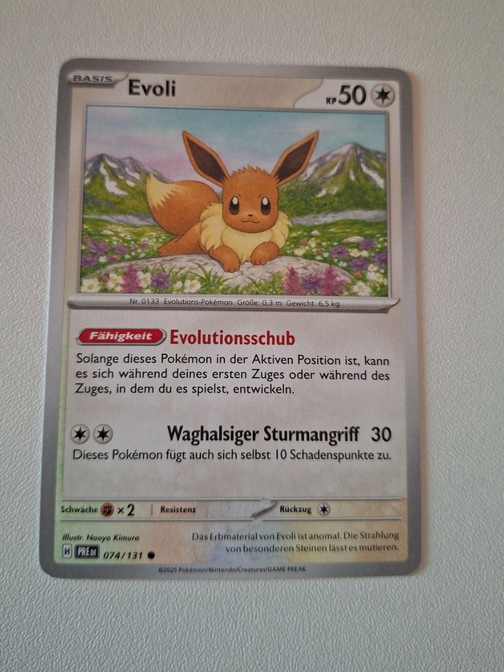 Pokémon Carte collezionabili: Pokemon Karte: Evoli 074/131 – Usato da Erlinsbach venduto da pfunky