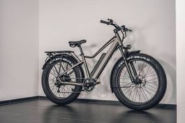 Aversus Ares E-Bike !Aktionspreis bis 31.08.2026!