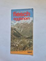Fiesch Eggishorn Prospekt Region Wallis guter Zustand