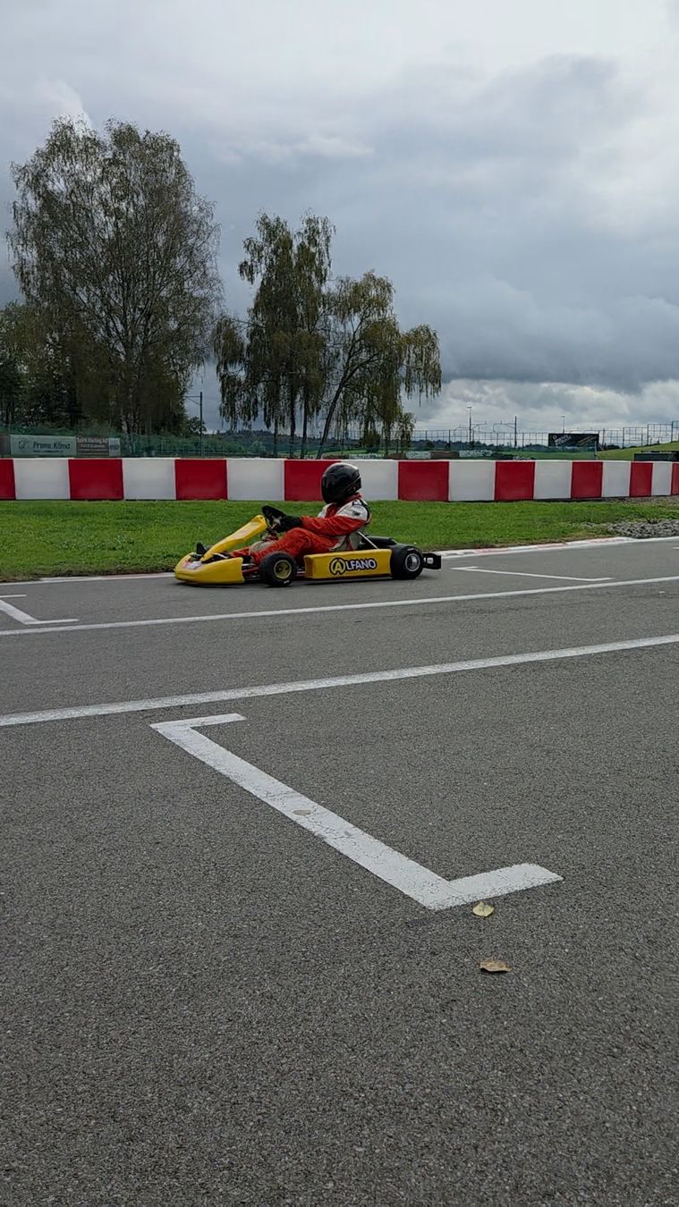 Swiss Hutless Go-Kart: Swiss Hutless Gokart – Usato da Boswil venduto da oli_6ts9 4