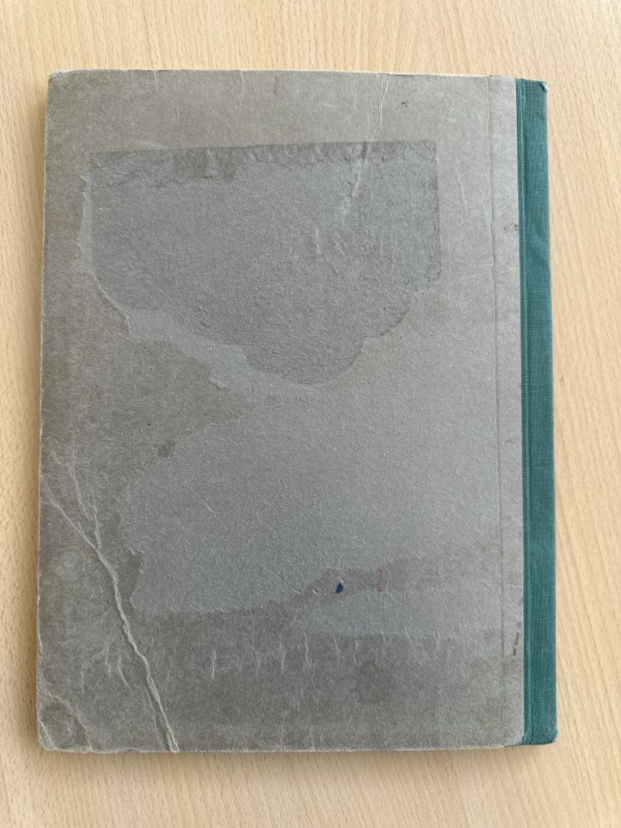Libri: Der Struwwelpeter seltene Schweizer Erstausgabe  – Usato da Frauenfeld venduto da Jose_luis 1