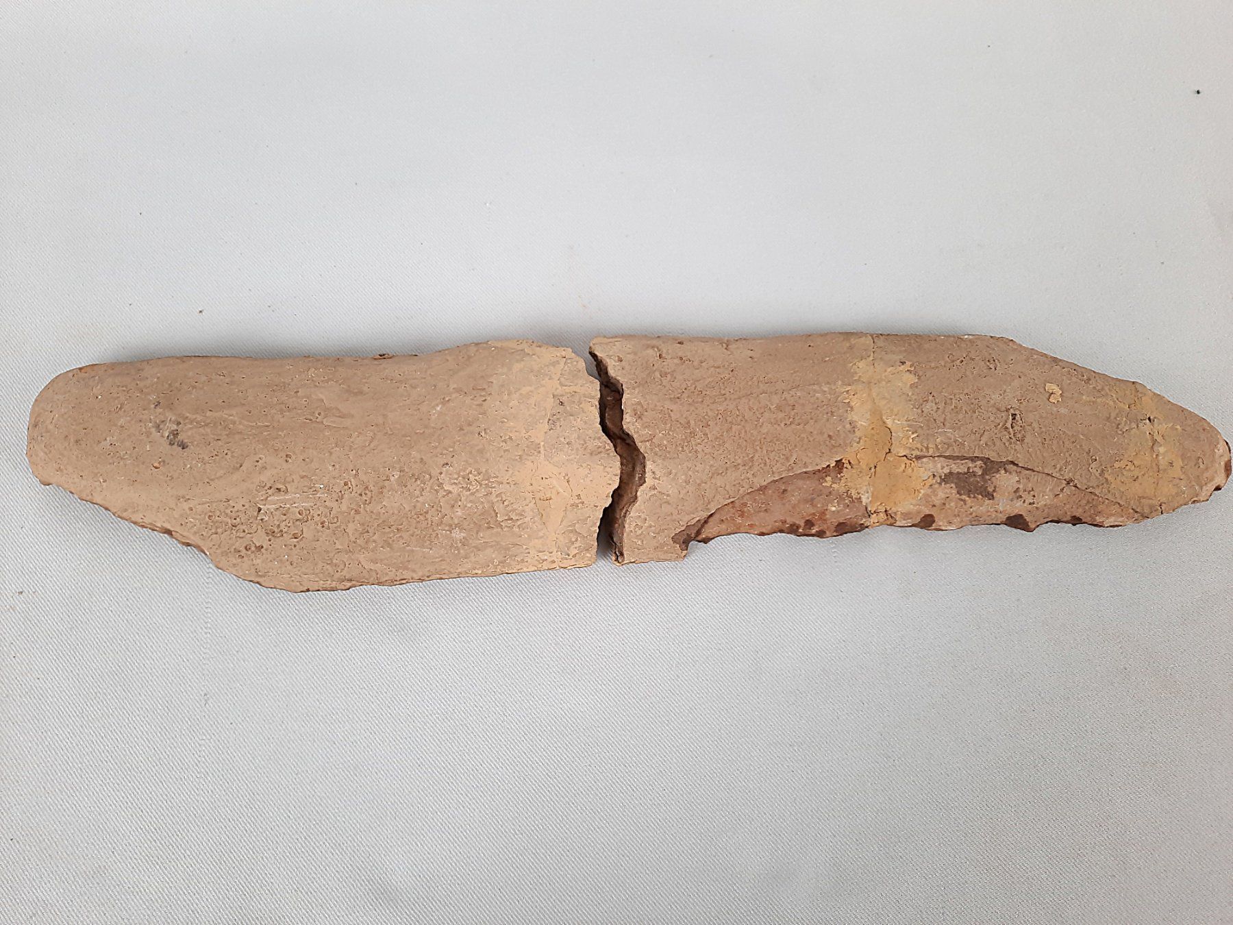Fossili: Fossiler Fisch in 2 teilen – Usato da Beinwil am See venduto da Restwert_Beinwil 2