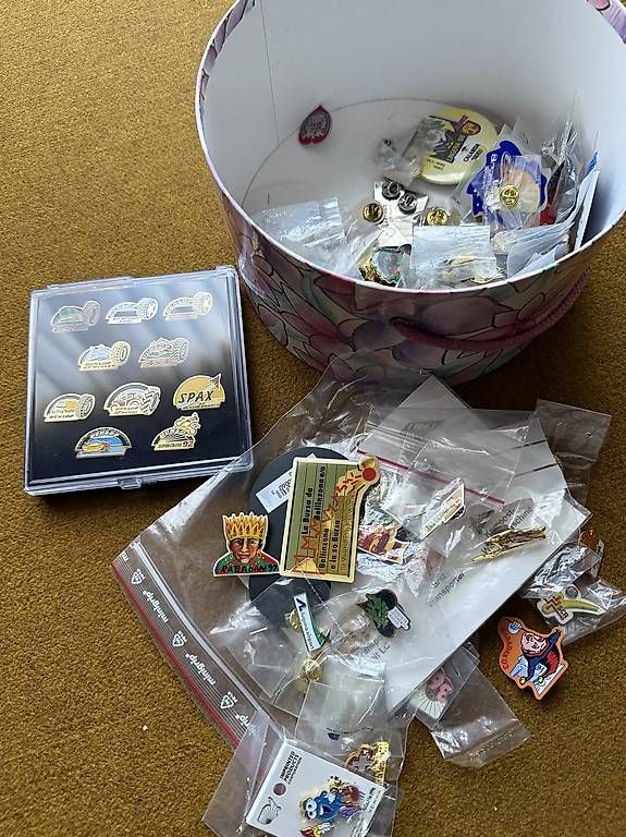 Spille & Fermagli: Pins da Collezione / Sammler-Pins – Usato da Roveredo GR venduto da ang_cc9l