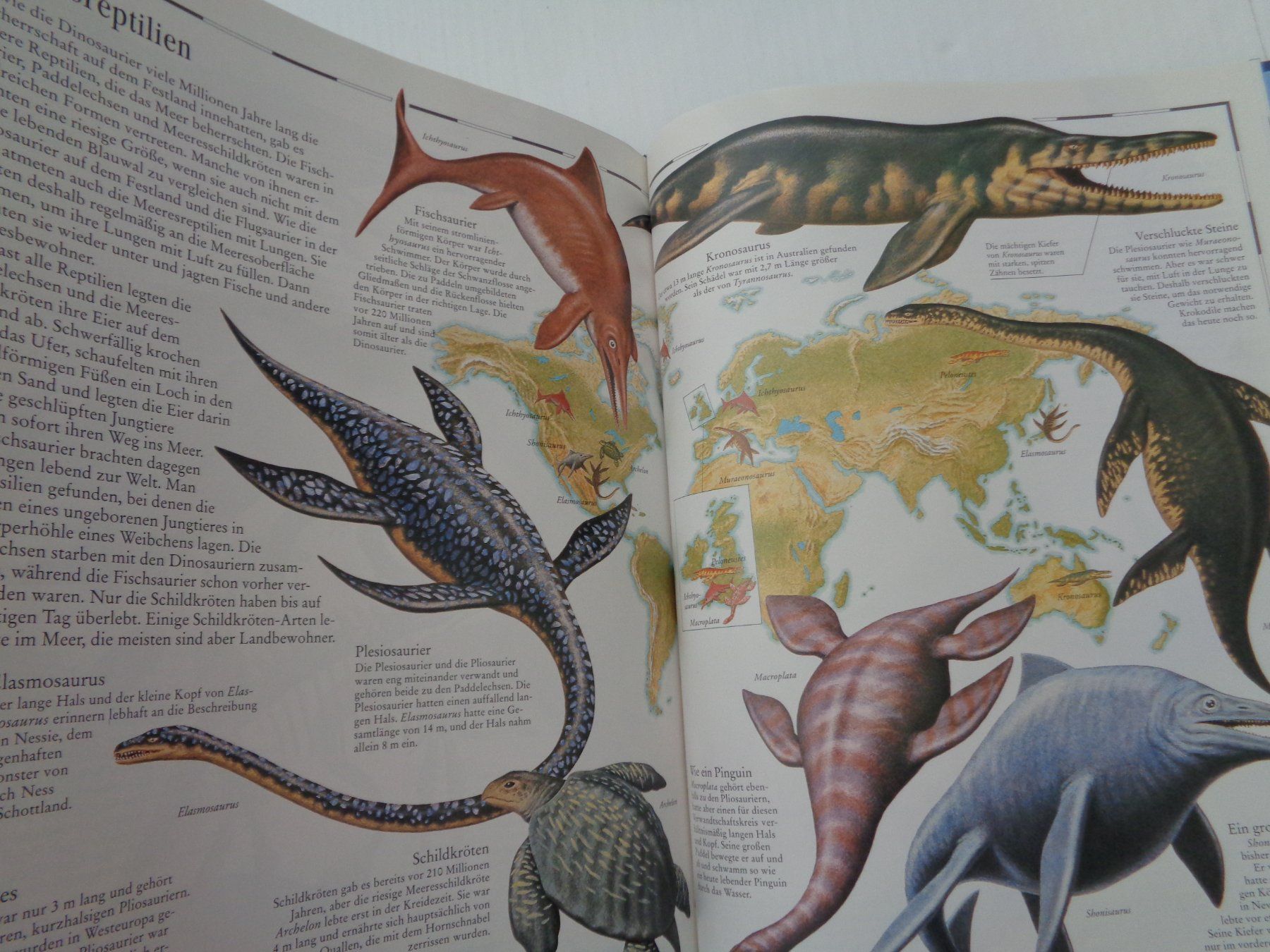 Libri: Bildatlas der Dinosaurier - entdecken - vergleichen – Usato da Chur venduto da Oregano1 4