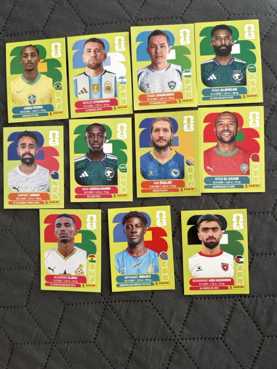 Panini Carte collezionabili: 11veraschidene Panini Stickers – Nuovo (secondo la descrizione) da Hilterfingen venduto da kin_zx9j