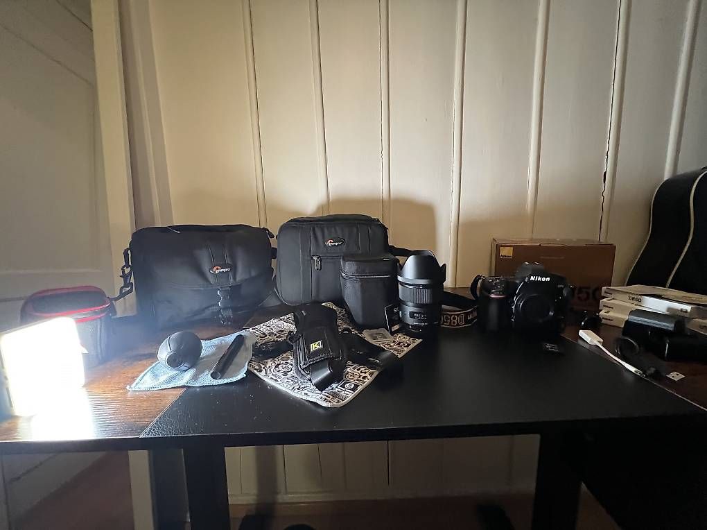 Nikon Kamera: Nikon D850 – Gebraucht aus Meilen von gas_9vwm 2
