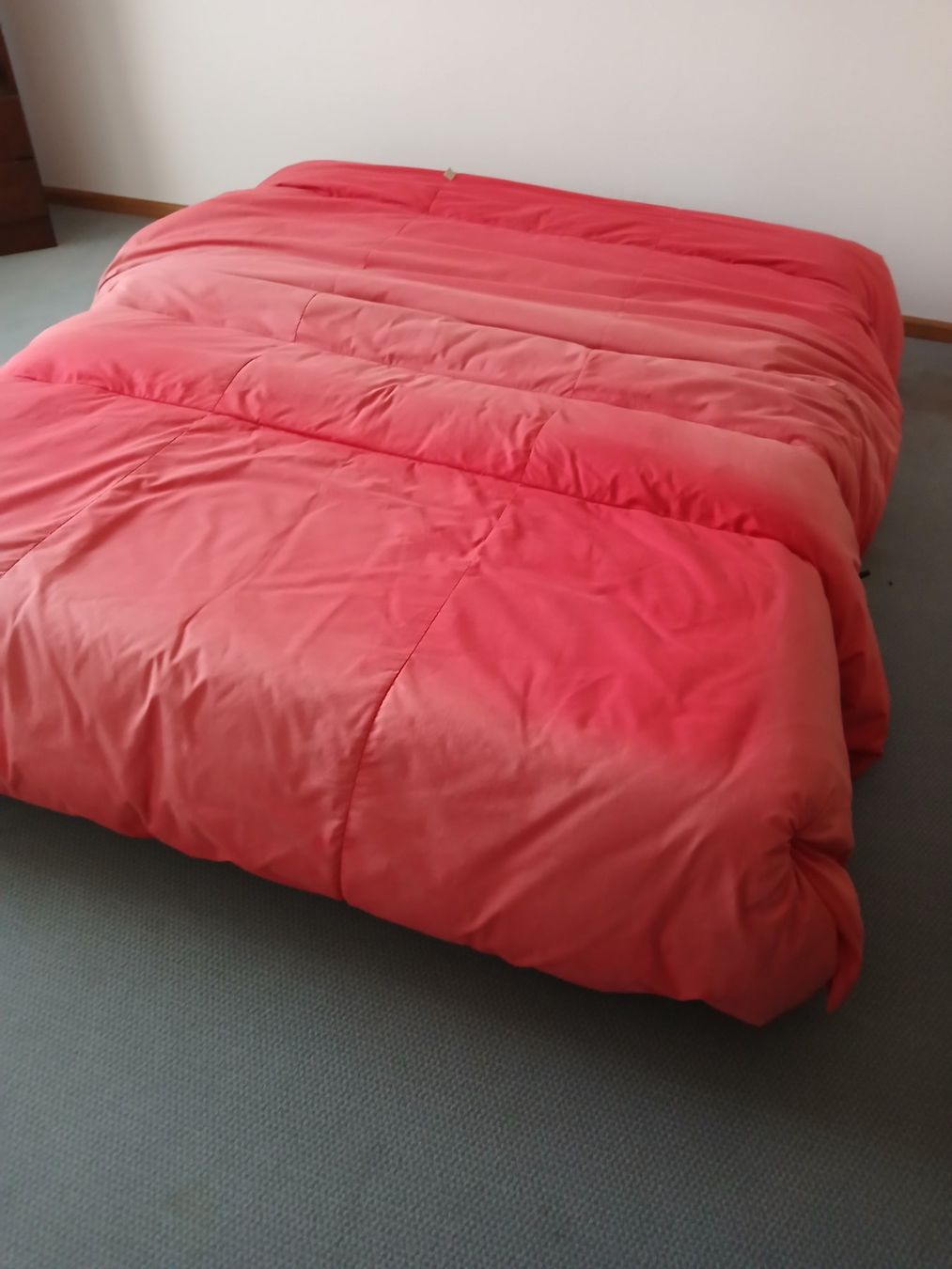 Ligne Roset Sofas: Bettsofa AMERICA – Gebraucht aus Arlesheim von brs_j8pg 2