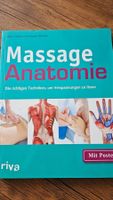 Massage Anatomie - Mit Poster