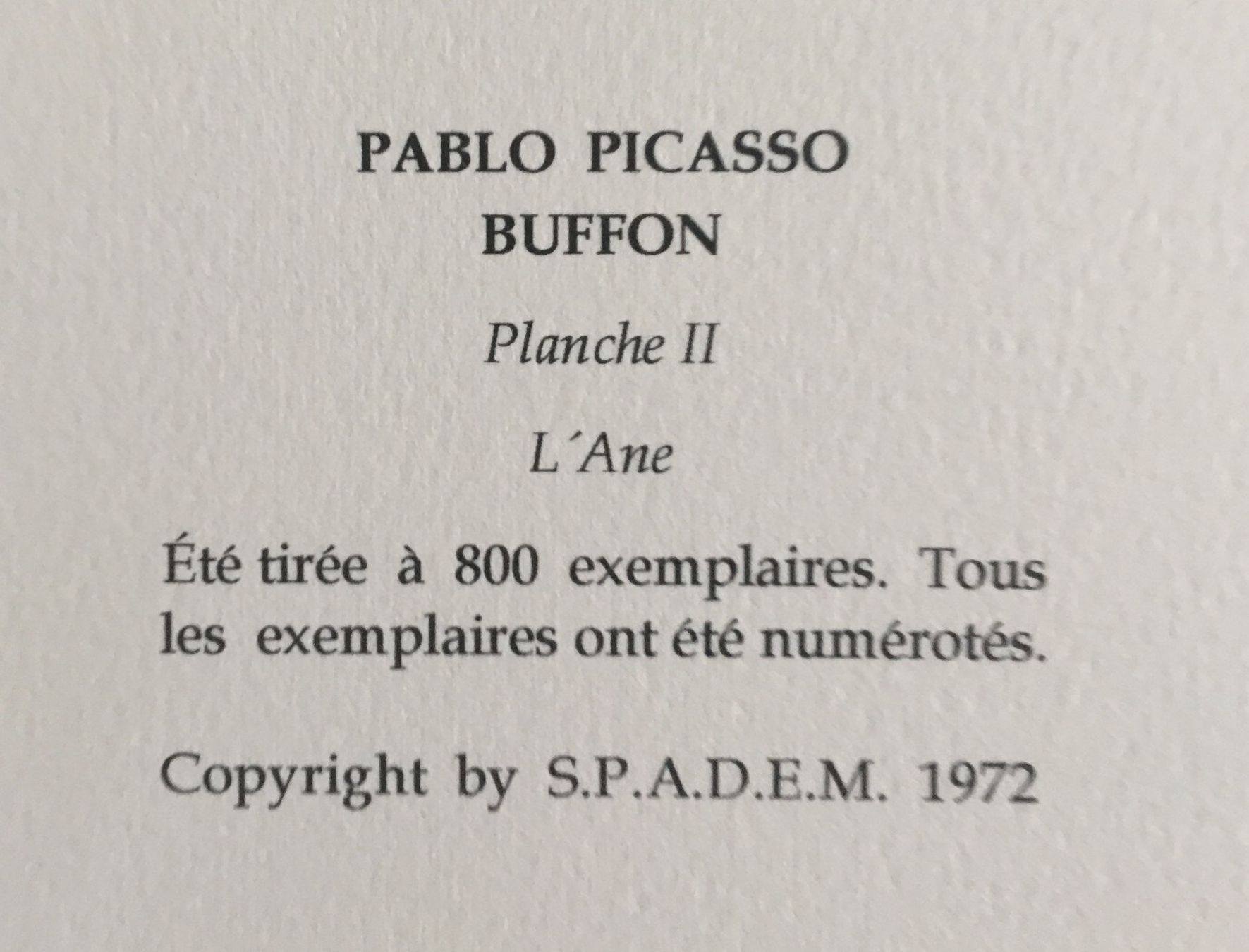 Grafica & Litografie: Pablo Picasso   Buffon Zyklus    "L' Ane"   Lithographie – Usato da Nennigkofen venduto da Sommersonnen 7