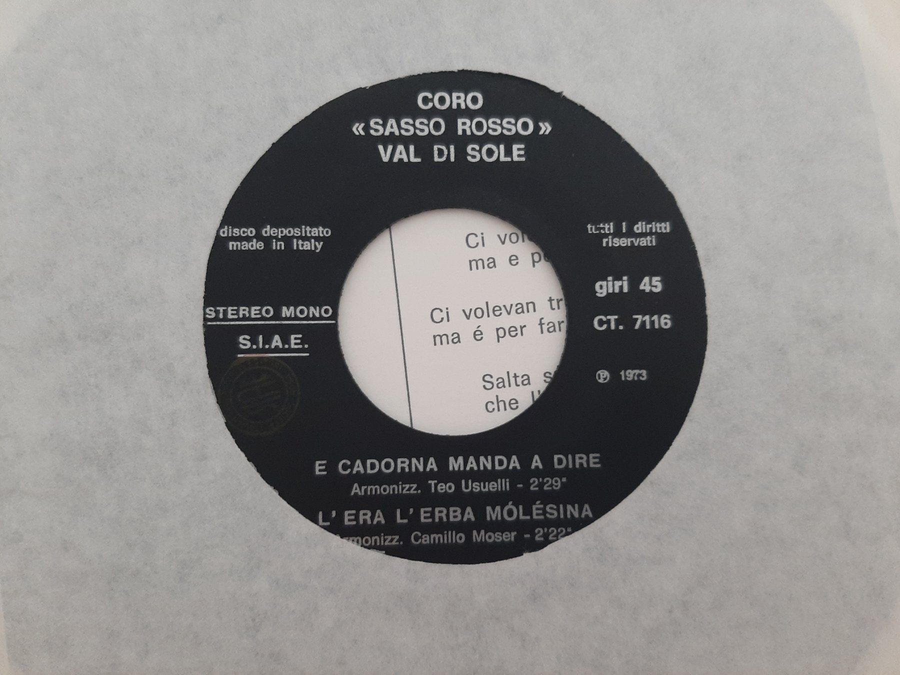 Dischi in vinile: Coro Sasso Rosso val di sole Schallplatte – Usato da Aarburg venduto da NDK 5