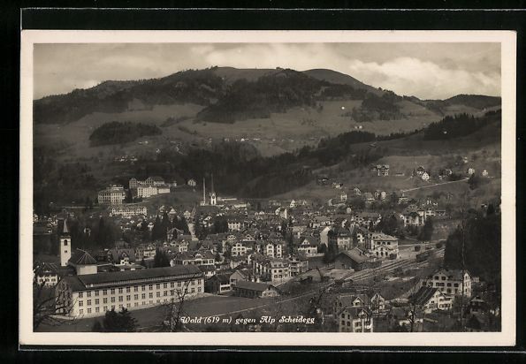 Cartoline postali: AK Wald, Ortsansicht gegen Alp Scheidegg – Usato da Berlin venduto da bartko-reher