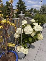 Garten Fackeln 2Stk. 