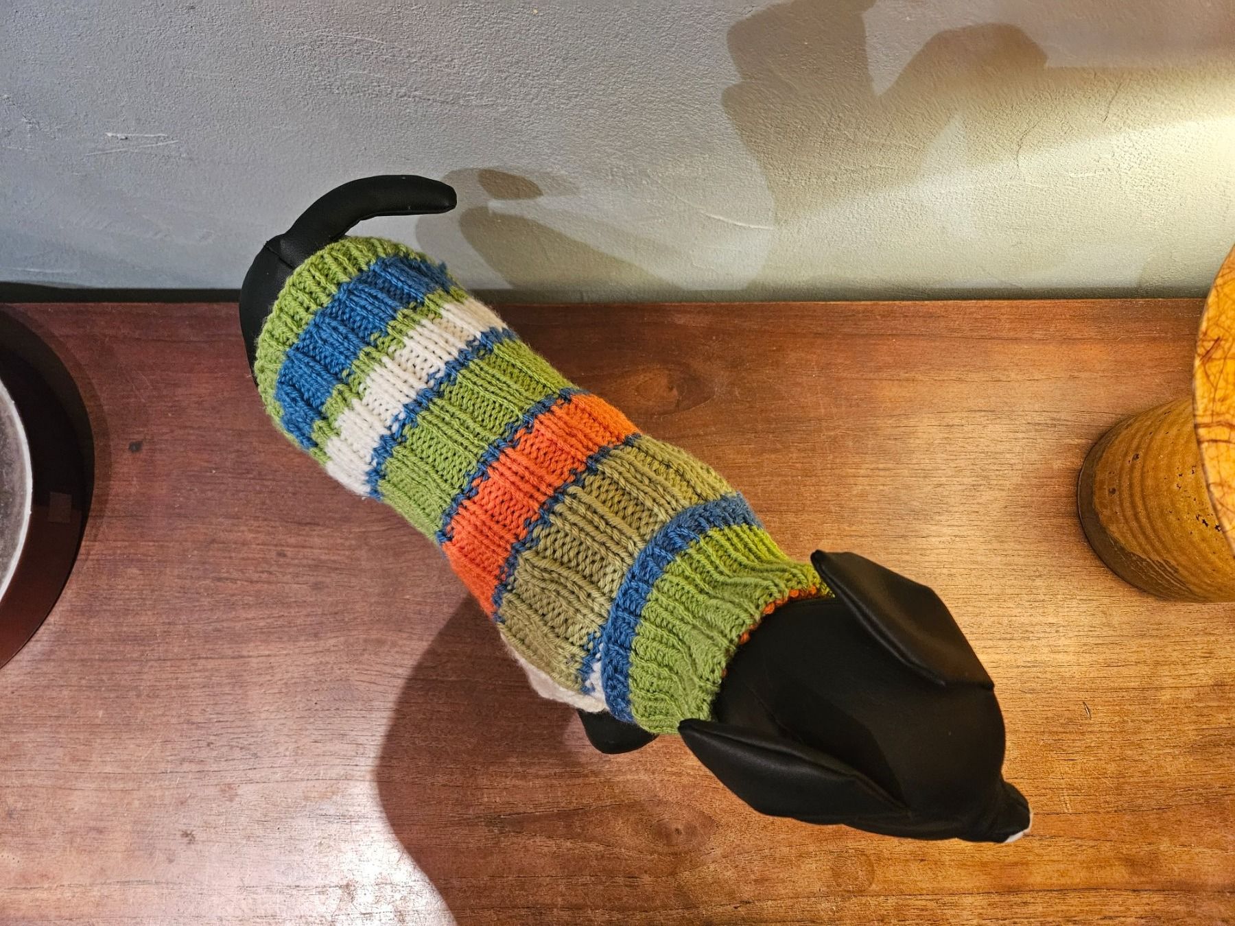 Abbigliamento: pull chien neuf modele unique T25-26 – Nuovo e nell'imballaggio originale da Thônex venduto da lacomtessedesfees 3