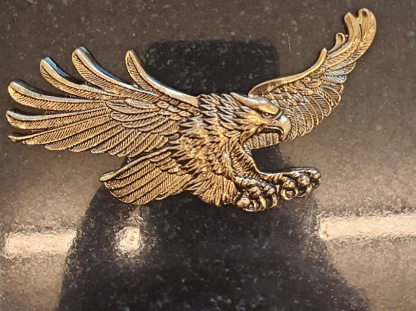 Placchette & Badge: Highway Hawk Emblem – Usato da Grabs venduto da Neuton 1