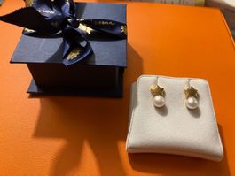 Gold Ohrstecker Perle Stern neu ungetragen Geschenkidee