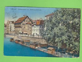 Zürich Limmatquai mit Schwanenkolonie
