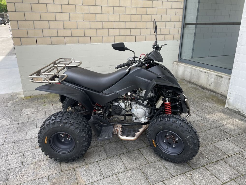 Quad DINLI DL801-270 (Gebraucht) in Bergdietikon für CHF 1000