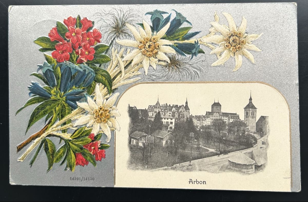 Cartoline postali: Prägekarte Arbon  – Usato da Horw venduto da Tellbub