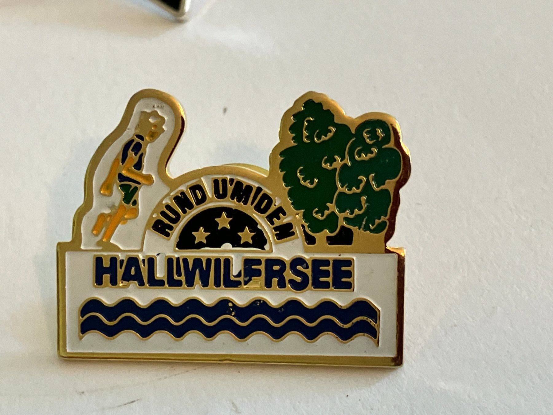 Placchette & Badge: 1 Pin Hallwilersee – Usato da Basel venduto da djwwpp