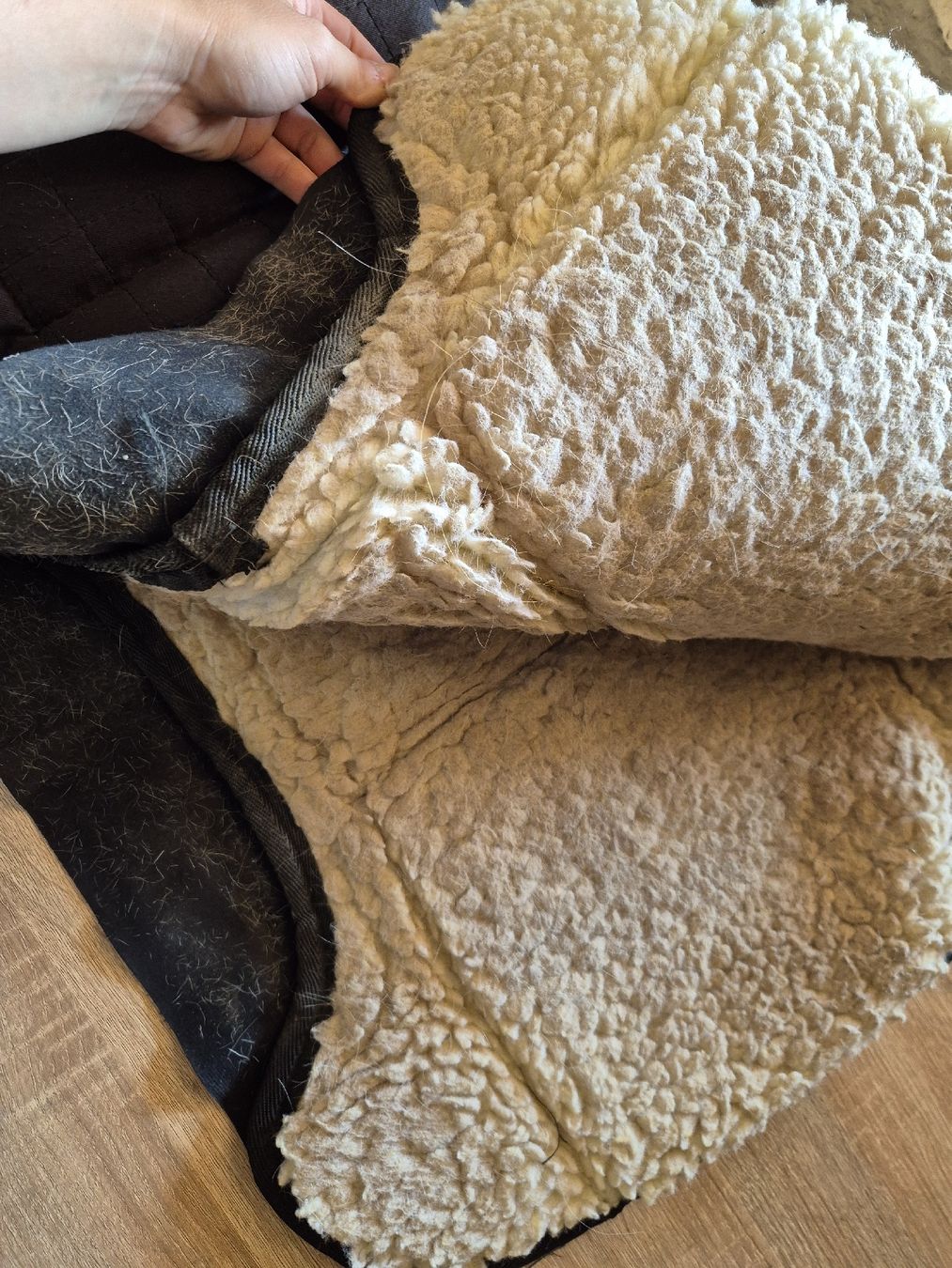 Decken: Westernpad mit Einlagen – Gebraucht aus Meggen von Orrinka20 2
