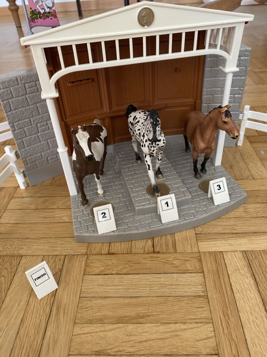 Schleich Spielzeuge: Pferde Turnier mit 12 Schleichpferden – Gebraucht aus zürich von Lupilou 2