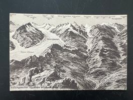 AK    Panorama Aletschgletscher ungebraucht   (G836)